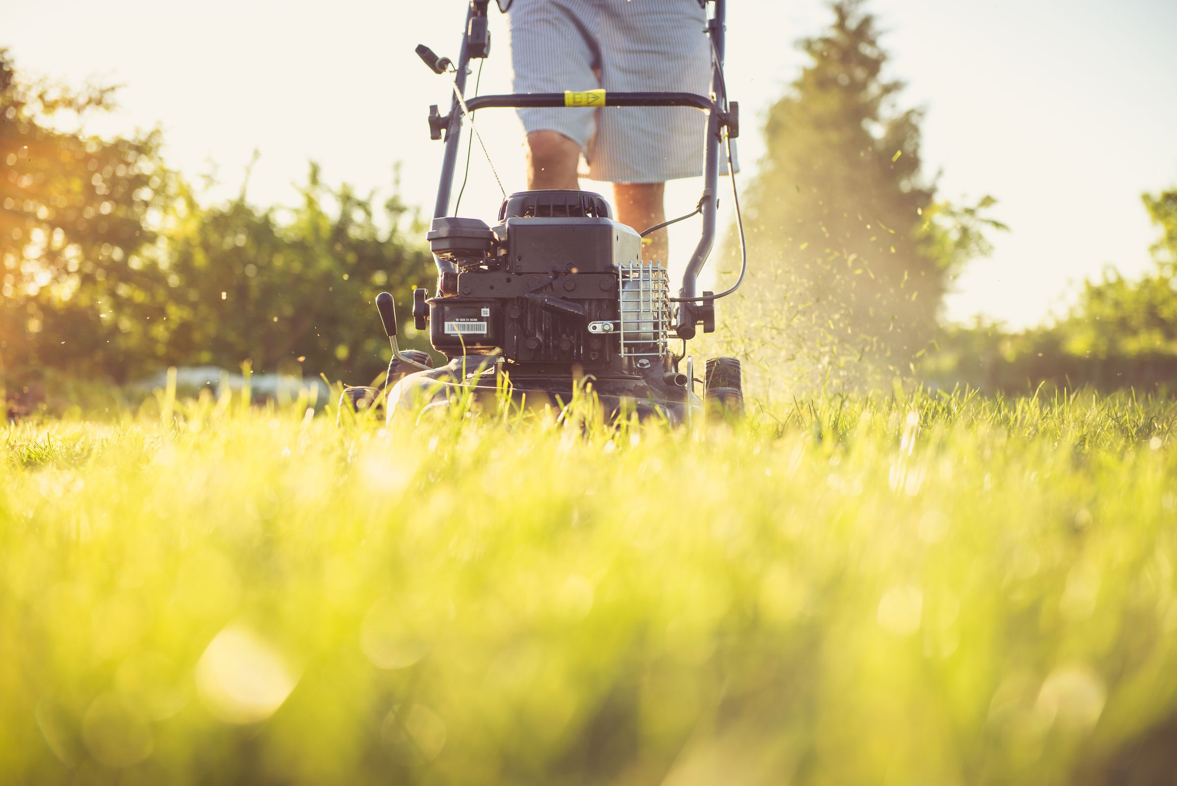 Lawn mowing in Grosse Ile Township