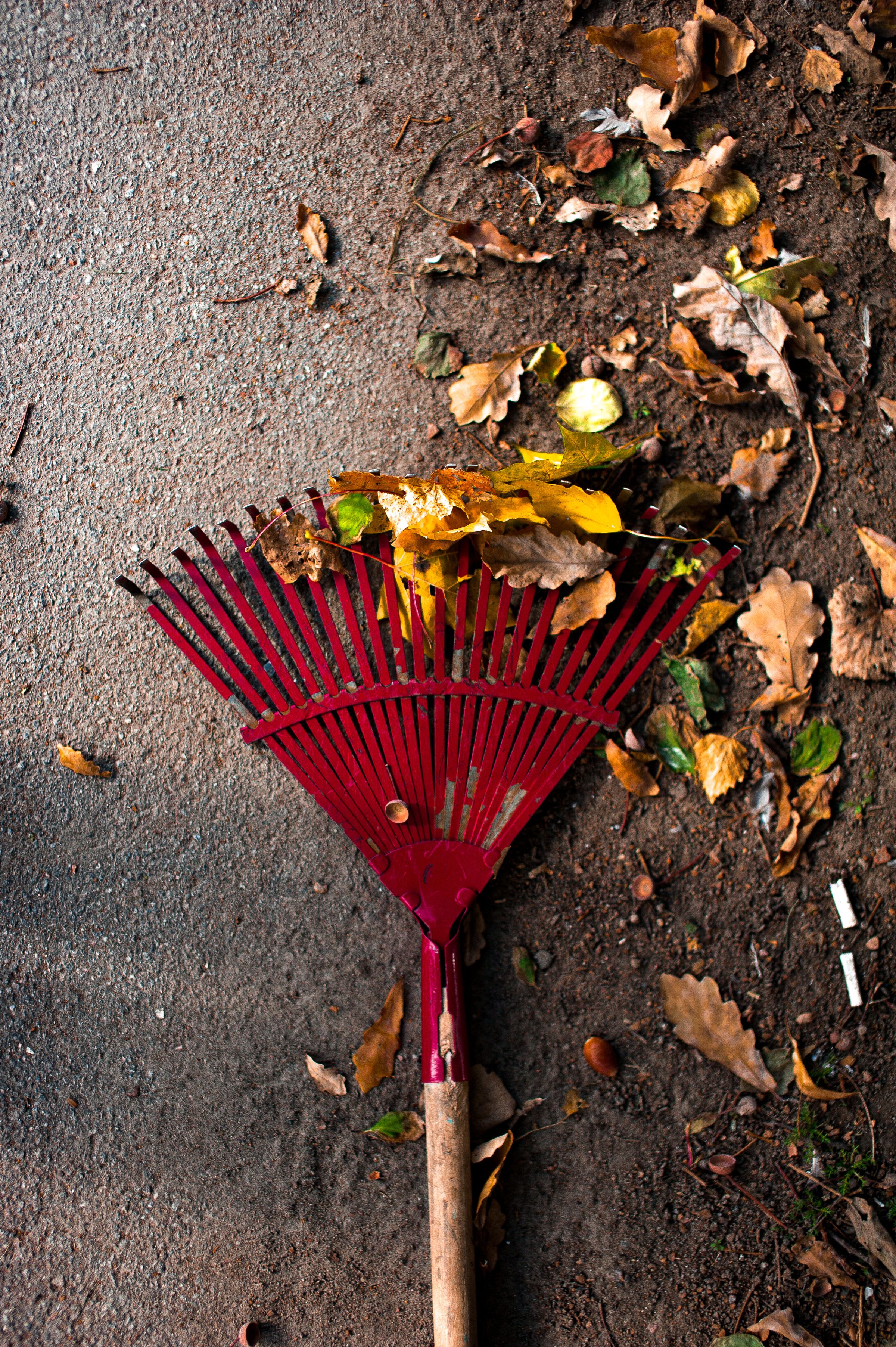 Cookson Lawn Care lawn care