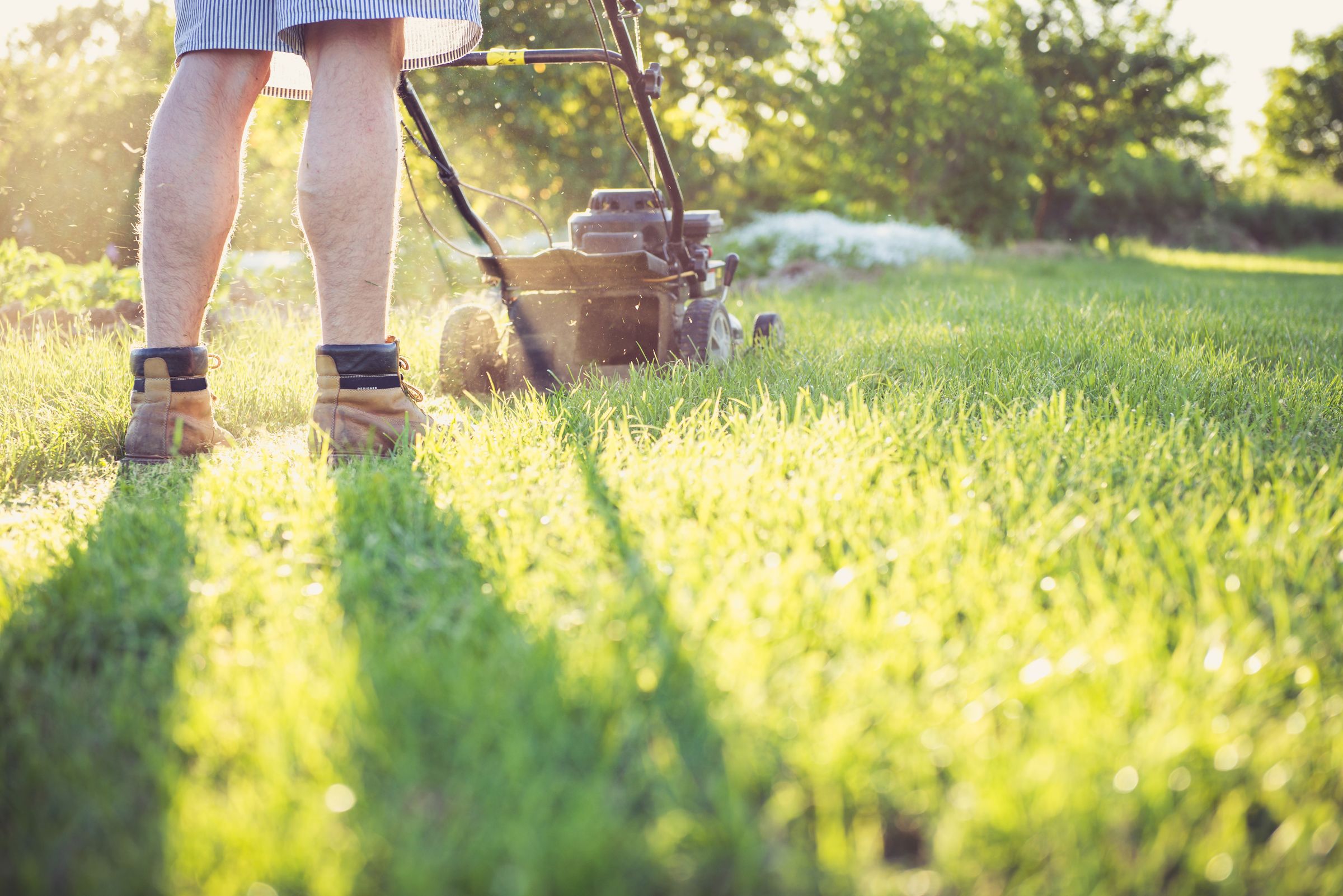 Cookson Lawn Care lawn care