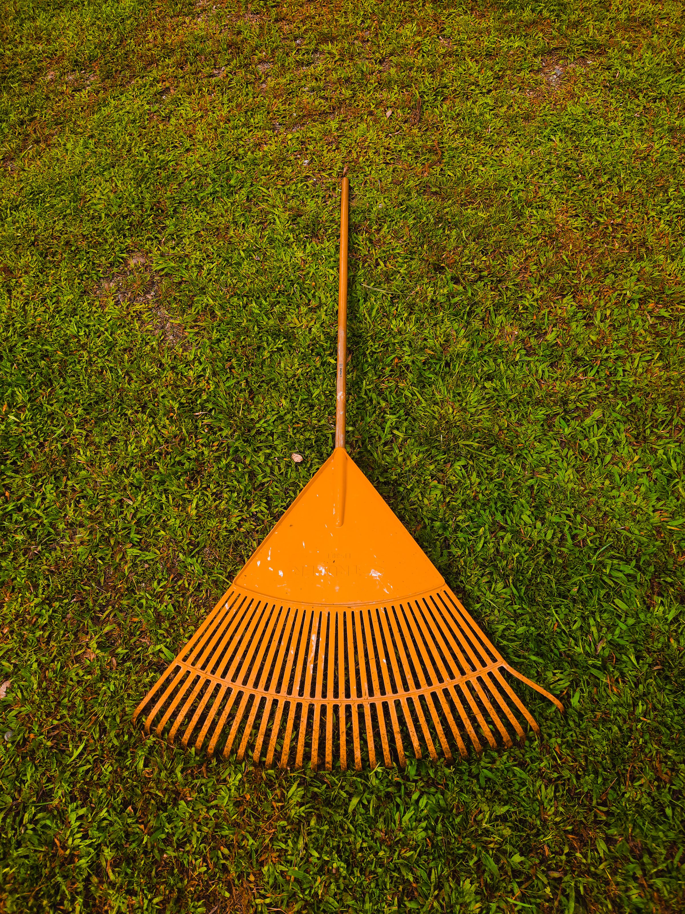 Spring Cleanup
