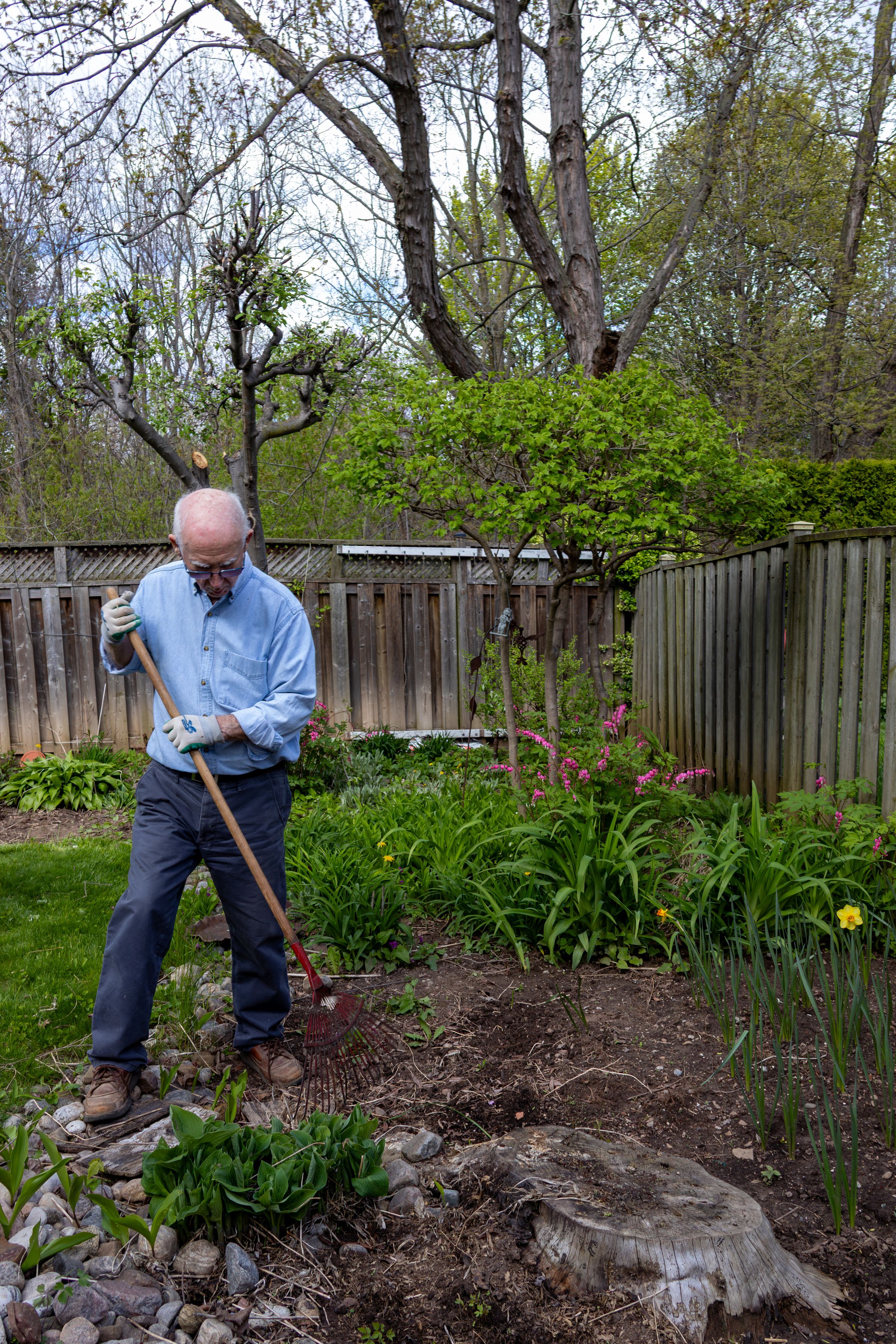 Spring Timing
